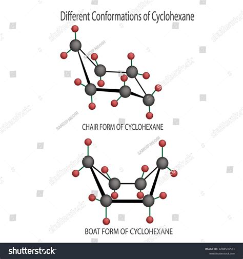 Cyclohexane Structure 3d