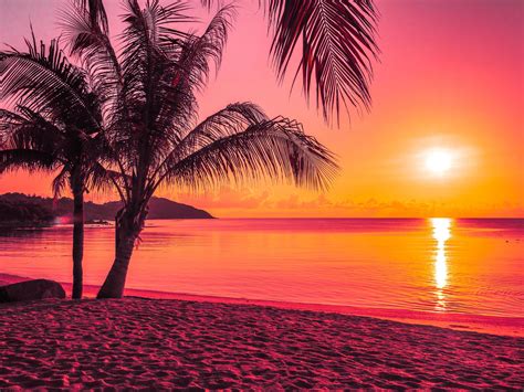 Beautiful tropical beach at sunrise 2008271 Stock Photo at Vecteezy