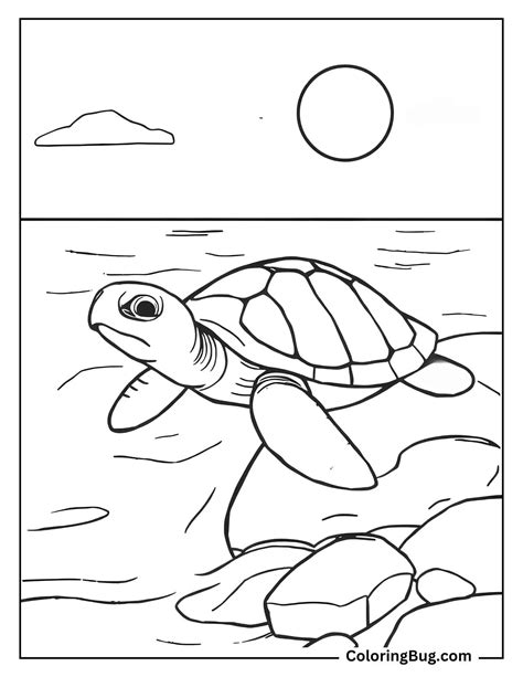 42 Ocean Coloring Pages (Free Printable PDFs)