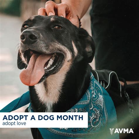 Pleasant Hill Animal Clinic