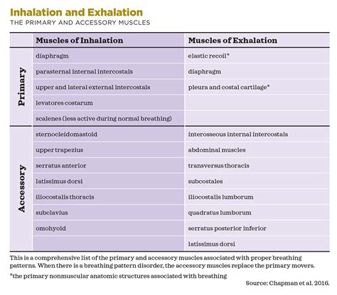 Breathwork Research and Application - IDEA Health & Fitness Association