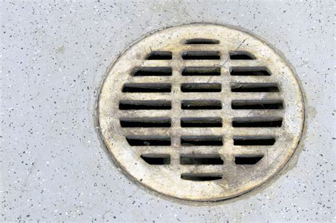 Garage Floor Drain Options – Clsa Flooring Guide