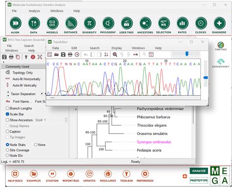 Mega Software Installation 的图像结果