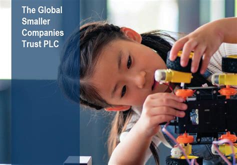 Smaller Corporations 的图像结果