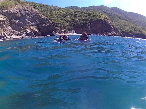 Octopus Dive Center (Taganga) - 2022 What to Know Before You Go (with ...