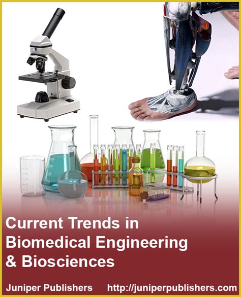 Biomedical Engineering Journal 的图像结果