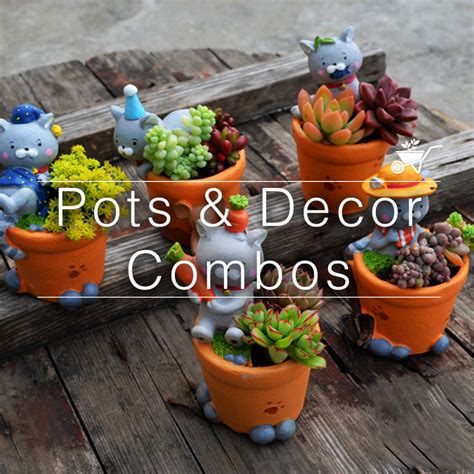 Buy Pots & Decor Combos Online - Wide Selection | MyBageecha