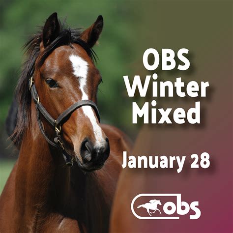 OBS Catalogues 316 for 2025 January Winter Mixed Sale – OBS Sales