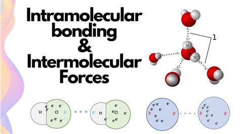 Image result for Intramolecular Forces Explained
