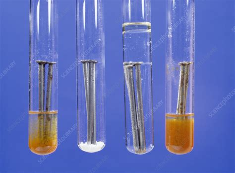 Image result for Rust Experiment