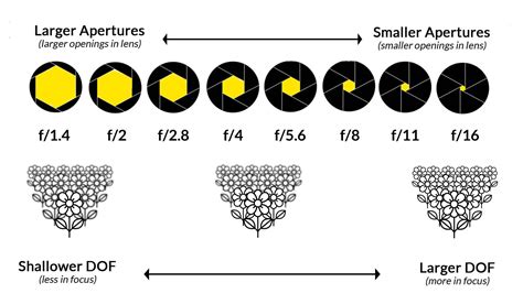 What is Aperture | Understanding Camera Aperture