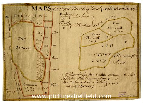 Searching Picture Sheffield