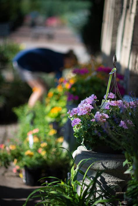 Cloverdale Nursery & Turf Farm | Idaho Preferred