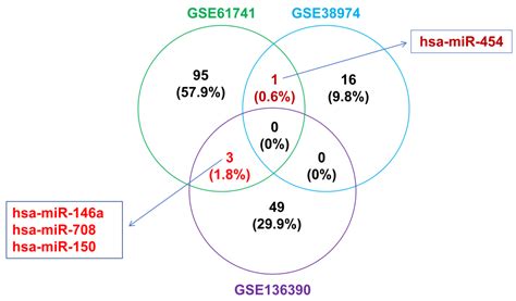 Exploration of the Pathogenesis of Chronic Obstructive Pulmonary ...