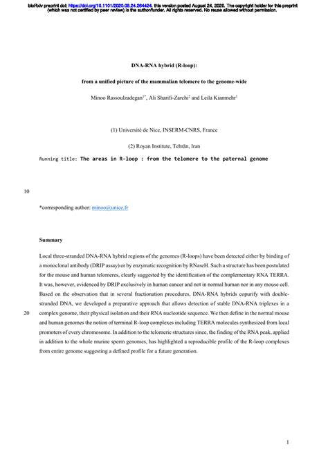 Image result for R-loop