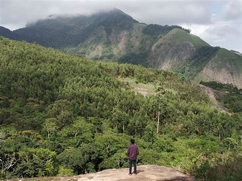 CAMP TEA FOREST (Suryanelli) - Campground Reviews & Photos - Tripadvisor