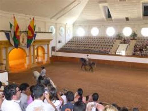 Royal Andalusian School of Equestrian Art, jerez, Spain - Top ...