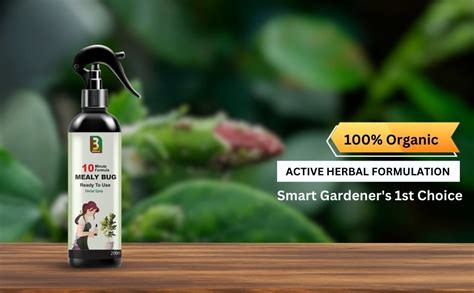 Chipku Herbal Mealy Bug Spray For Plants & Garden 200ml| 10 Minutes ...