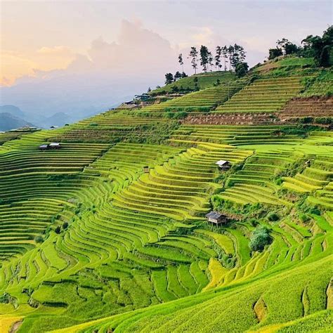 THE 10 BEST Restaurants Near Saigonese Travel, Sapa