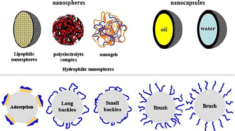 Image result for Nanoparticles Types