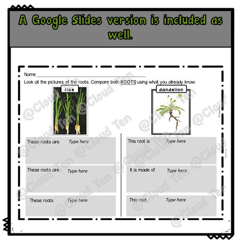 First Grade Science 的图像结果