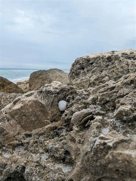 +seahell 的图像结果