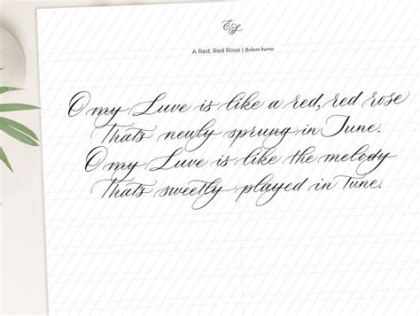 Traceable Calligraphy Workbook, Calligraphy Worksheets, Pointed Pen Calligraphy Practice Sheets ...