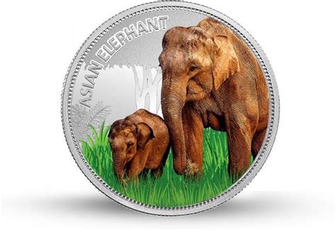 Mmtc Pamp India Pvt Ltd Gold Silver Coins - Buy Mmtc Pamp India Pvt Ltd ...