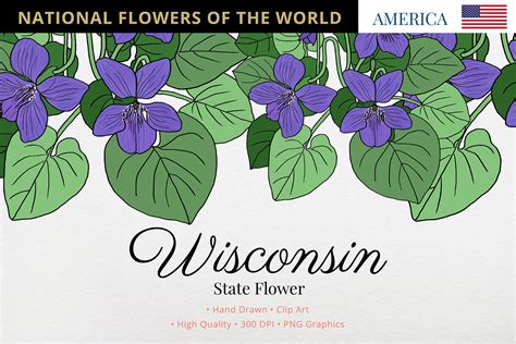 Wisconsin State Flower Gráfico por Hanatist Studio · Creative Fabrica