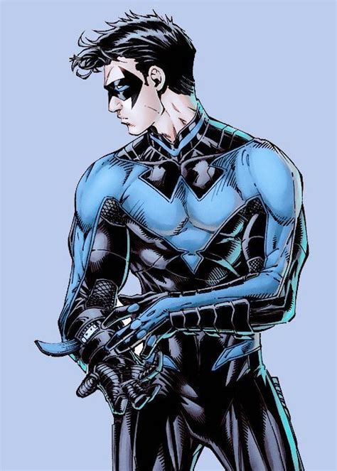 Nightwing Btas 的图像结果