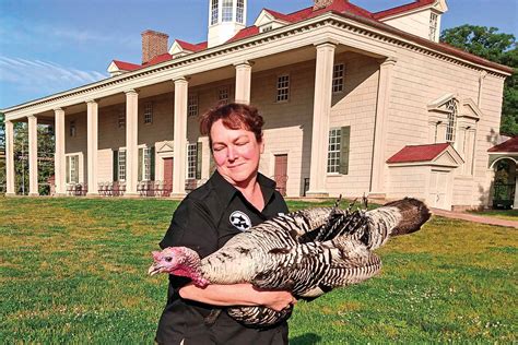 The Narragansett Turkey Breed - Grit