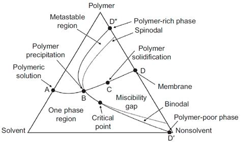 Bio-Based Polymeric Membranes: Development and Environmental Applications