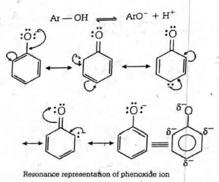 The correct acidic order of following is - Tardigrade