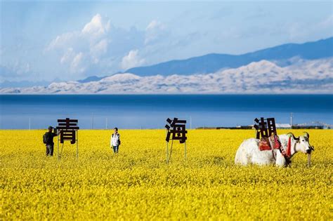 几月去青海最好？青海及周边有哪些地方值得推荐？ （青海旅游实用攻略） - 知乎