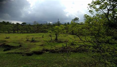 8 Best Places To Visit In Maharashtra In June One Cannot Miss!
