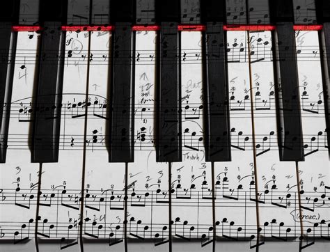 Anatomy Of Musical Instruments — Harold Shapiro Photography