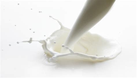 乳清蛋白粉怎么吃 乳清蛋白粉的副作用—【NMN观察】