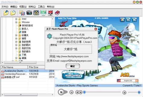 Image result for Flash Player Pro