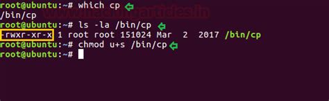 Linux Privilege Escalation using SUID Binaries