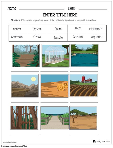 Ecosystem Worksheet 的图像结果