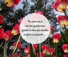 frasi e fiori 27 fantastiche immagini su frasi sui fiori nel 2019 frasi e fiori 27 fantastiche immagini su frasi sui fiori nel 2019