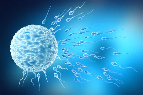 Semen and Sperm Analysis - Male Infertility - Urology Austin