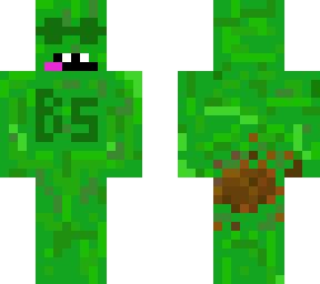 Image result for Cheeppickle Minecraft Skin