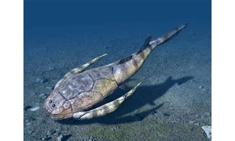 Image result for Fish Stink Meme