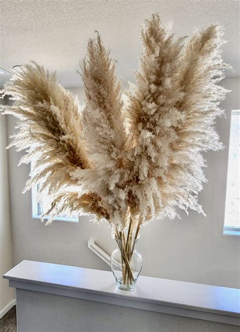 Buy 3 stems Extra Large Dried Pampas Grass 4ft | Boho Decor | Wedding ...
