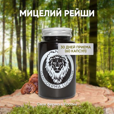 Мицелий Рейши / Микродозинг 60 капсул по 950 мг (Трутовик лакированный ...