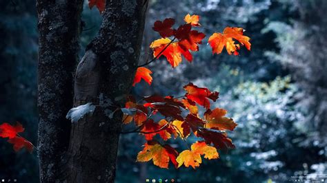 How to Center Taskbar Icons & Make It Look Like Windows 10X