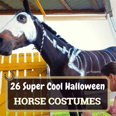 26 Super Cool Halloween Horse Costumes | Horse Soup