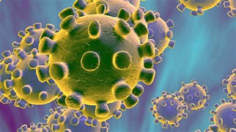 ‘Coronavirus Challenge’ goes viral, netizens share insensitive memes ...