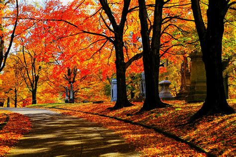 Image result for Beautiful Autumn Fall
